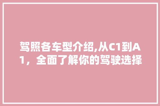 驾照各车型介绍,从C1到A1，全面了解你的驾驶选择