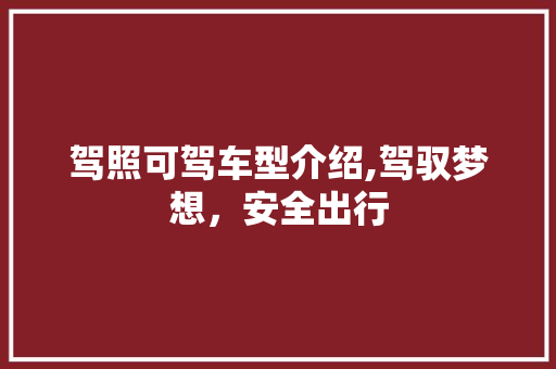 驾照可驾车型介绍,驾驭梦想，安全出行
