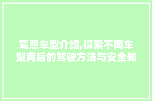 驾照车型介绍,探索不同车型背后的驾驶方法与安全知识 底盘配件