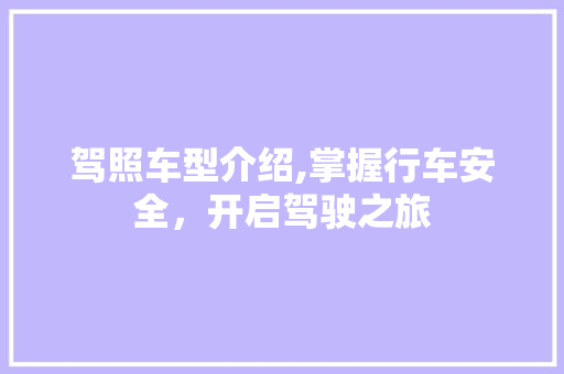驾照车型介绍,掌握行车安全，开启驾驶之旅