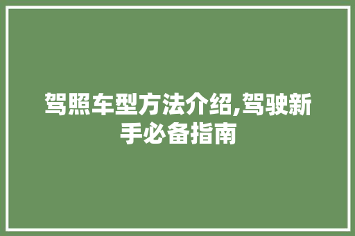驾照车型方法介绍,驾驶新手必备指南