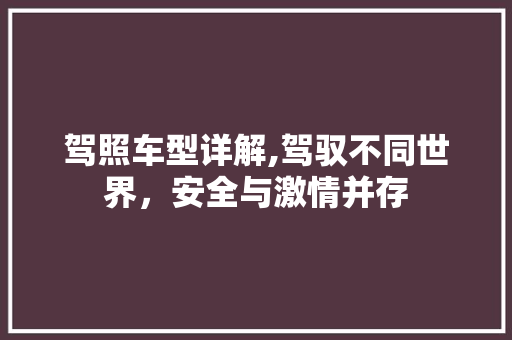 驾照车型详解,驾驭不同世界，安全与激情并存