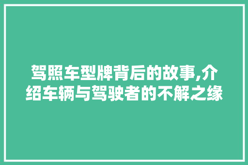 驾照车型牌背后的故事,介绍车辆与驾驶者的不解之缘