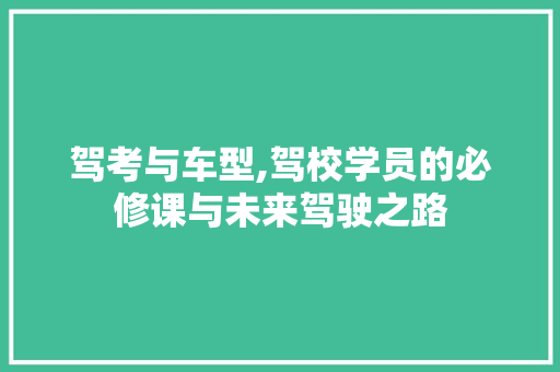 驾考与车型,驾校学员的必修课与未来驾驶之路