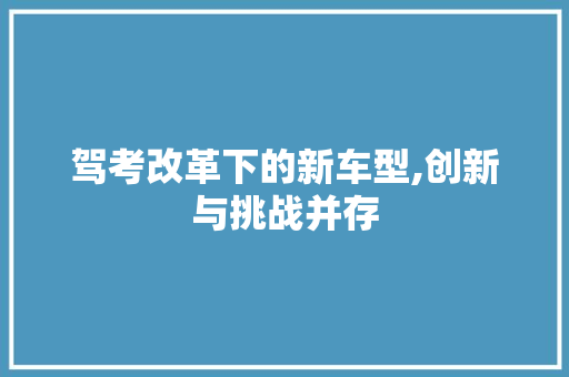 驾考改革下的新车型,创新与挑战并存