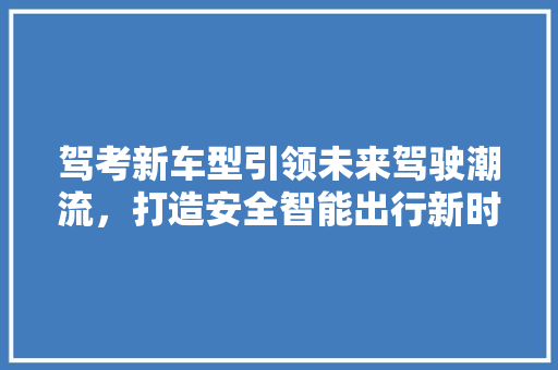 驾考新车型引领未来驾驶潮流，打造安全智能出行新时代