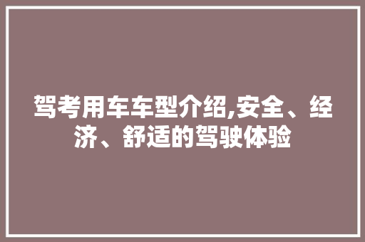 驾考用车车型介绍,安全、经济、舒适的驾驶体验
