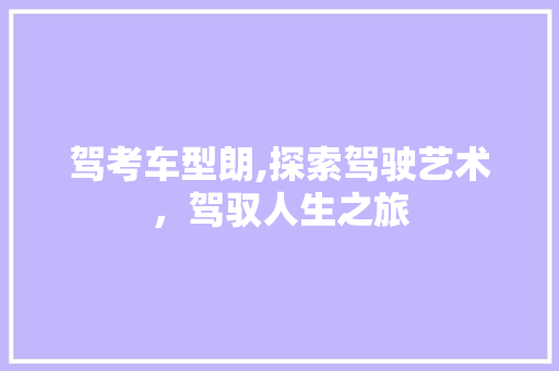 驾考车型朗,探索驾驶艺术，驾驭人生之旅