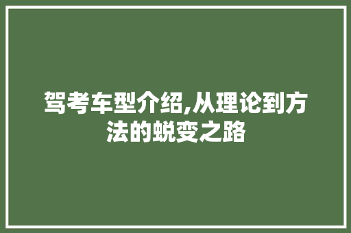 驾考车型介绍,从理论到方法的蜕变之路