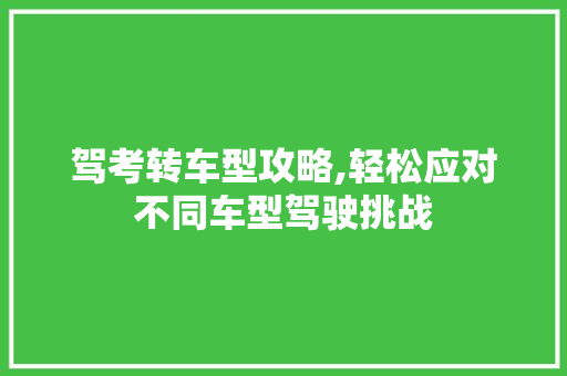 驾考转车型攻略,轻松应对不同车型驾驶挑战