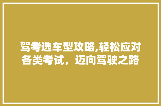 驾考选车型攻略,轻松应对各类考试，迈向驾驶之路