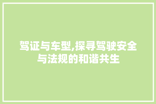 驾证与车型,探寻驾驶安全与法规的和谐共生