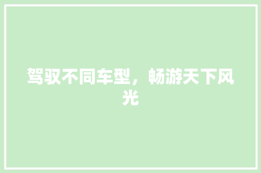 驾驭不同车型，畅游天下风光