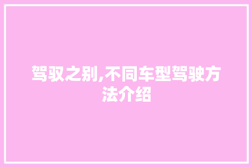 驾驭之别,不同车型驾驶方法介绍