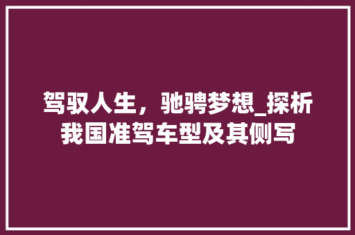 驾驭人生，驰骋梦想_探析我国准驾车型及其侧写