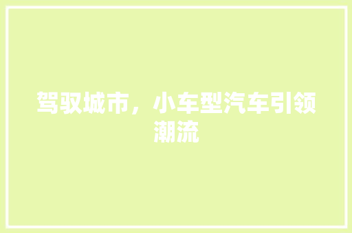 驾驭城市，小车型汽车引领潮流