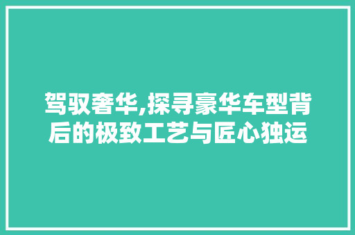 驾驭奢华,探寻豪华车型背后的极致工艺与匠心独运
