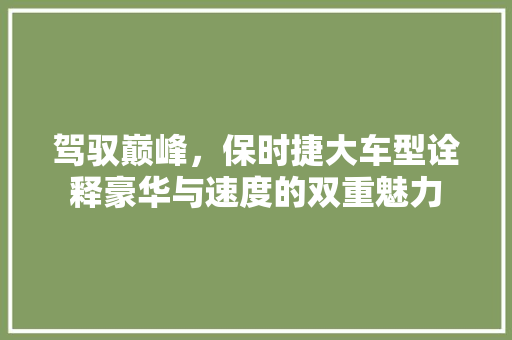 驾驭巅峰，保时捷大车型诠释豪华与速度的双重魅力