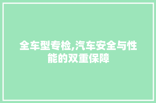 全车型专检,汽车安全与性能的双重保障