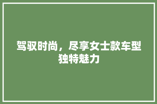 驾驭时尚，尽享女士款车型独特魅力