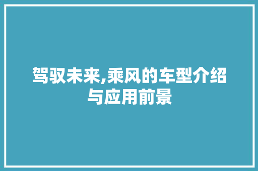 驾驭未来,乘风的车型介绍与应用前景