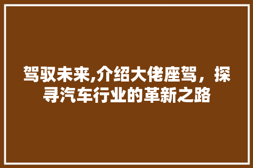 驾驭未来,介绍大佬座驾，探寻汽车行业的革新之路