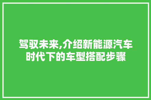 驾驭未来,介绍新能源汽车时代下的车型搭配步骤