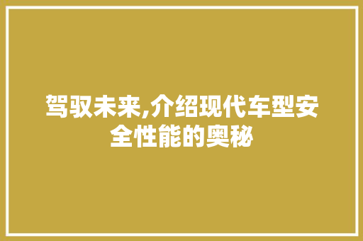 驾驭未来,介绍现代车型安全性能的奥秘