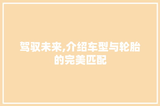 驾驭未来,介绍车型与轮胎的完美匹配