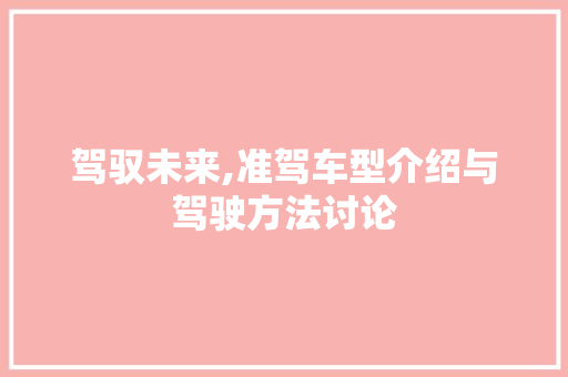 驾驭未来,准驾车型介绍与驾驶方法讨论