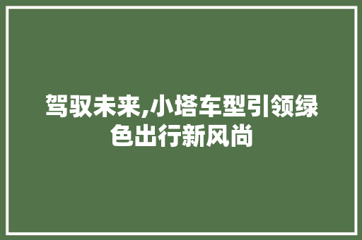 驾驭未来,小塔车型引领绿色出行新风尚