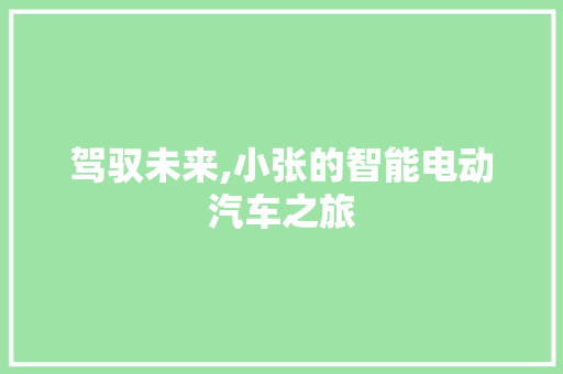 驾驭未来,小张的智能电动汽车之旅