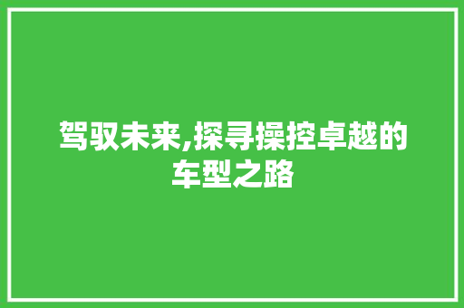 驾驭未来,探寻操控卓越的车型之路