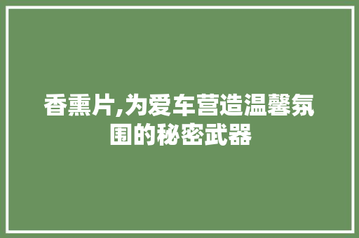 香熏片,为爱车营造温馨氛围的秘密武器 底盘配件