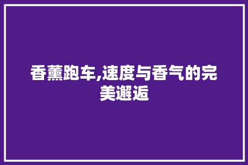 香薰跑车,速度与香气的完美邂逅