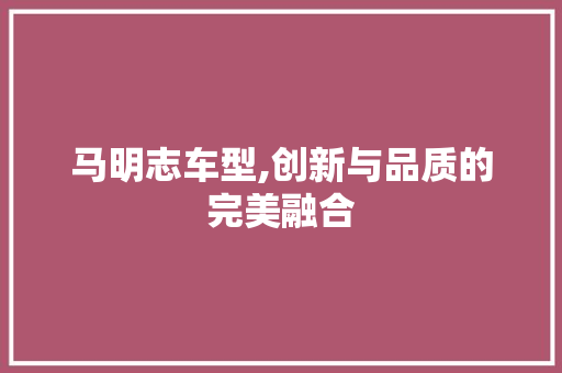 马明志车型,创新与品质的完美融合