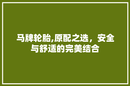 马牌轮胎,原配之选，安全与舒适的完美结合