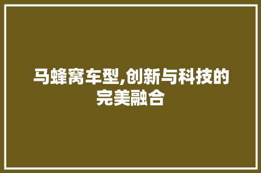 马蜂窝车型,创新与科技的完美融合 新能源汽车