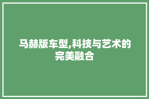 马赫版车型,科技与艺术的完美融合