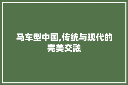 马车型中国,传统与现代的完美交融