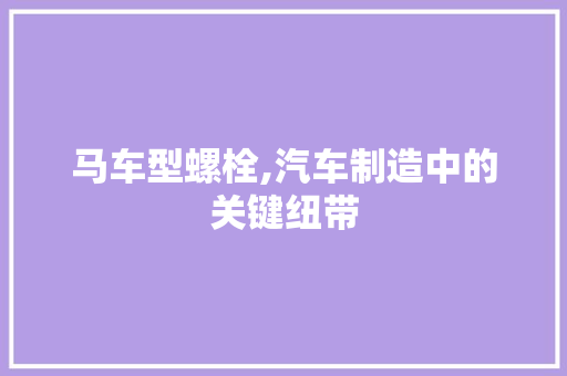 马车型螺栓,汽车制造中的关键纽带