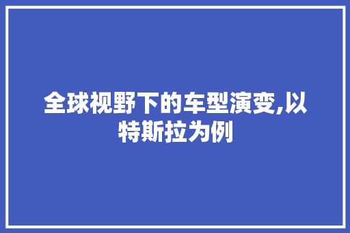 全球视野下的车型演变,以特斯拉为例