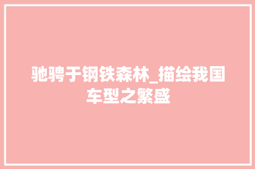 驰骋于钢铁森林_描绘我国车型之繁盛