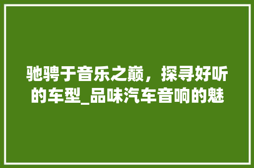 驰骋于音乐之巅，探寻好听的车型_品味汽车音响的魅力