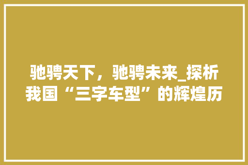 驰骋天下，驰骋未来_探析我国“三字车型”的辉煌历程与展望