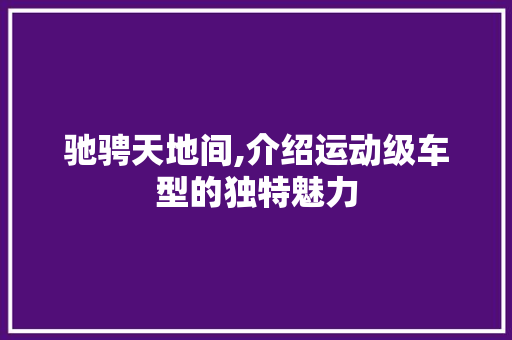 驰骋天地间,介绍运动级车型的独特魅力