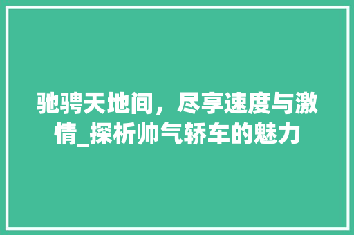 驰骋天地间，尽享速度与激情_探析帅气轿车的魅力