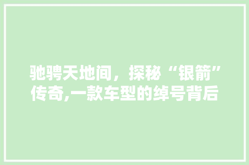 驰骋天地间，探秘“银箭”传奇,一款车型的绰号背后的故事