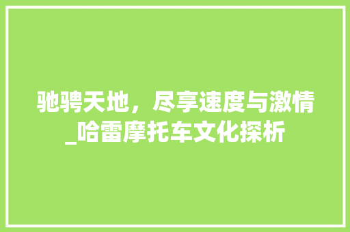 驰骋天地，尽享速度与激情_哈雷摩托车文化探析