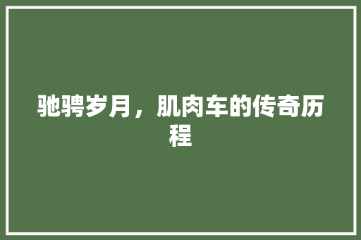 驰骋岁月，肌肉车的传奇历程